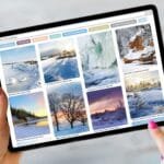 pin inspector alternatives